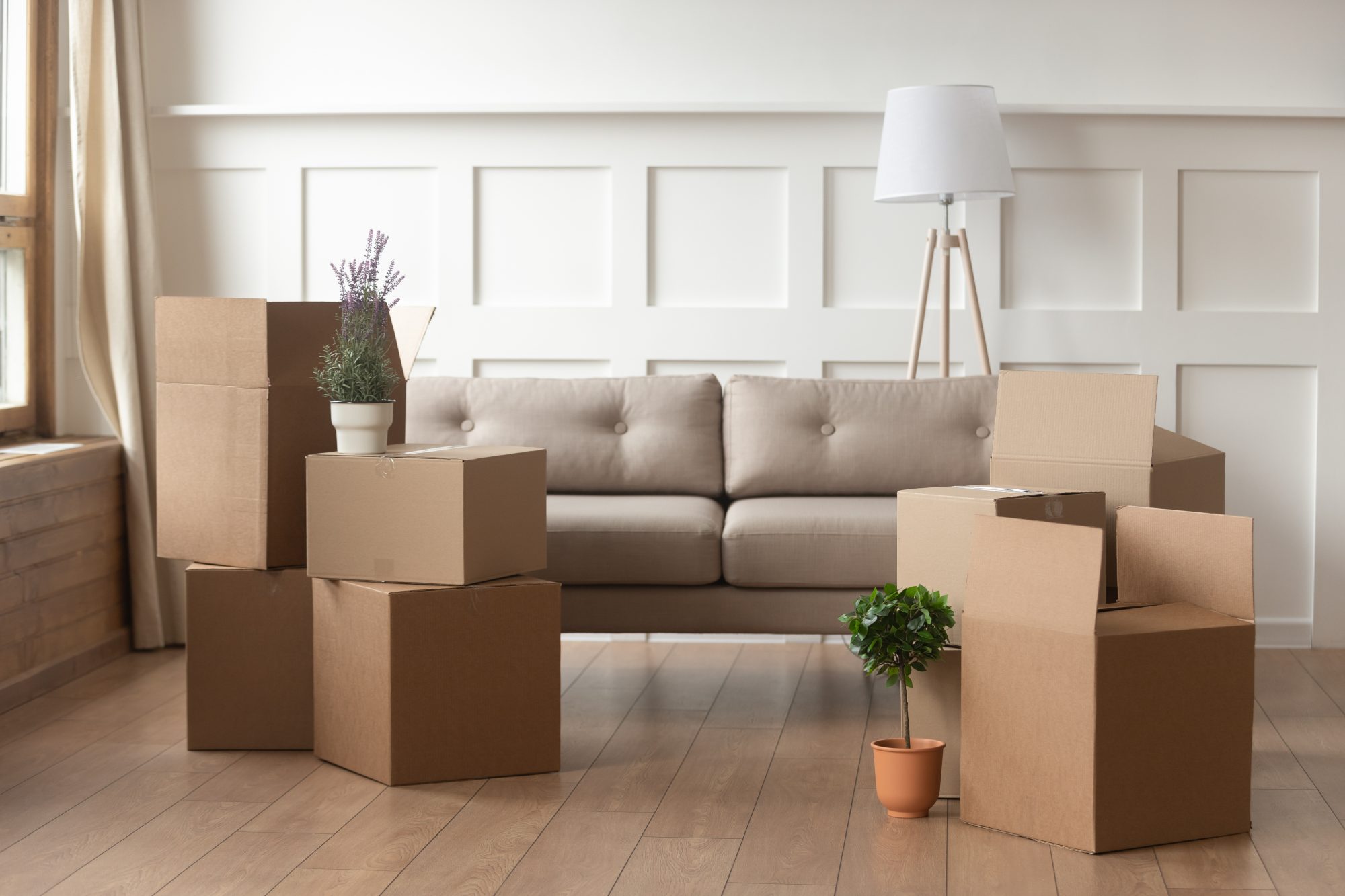 Moving Day boxes in living room