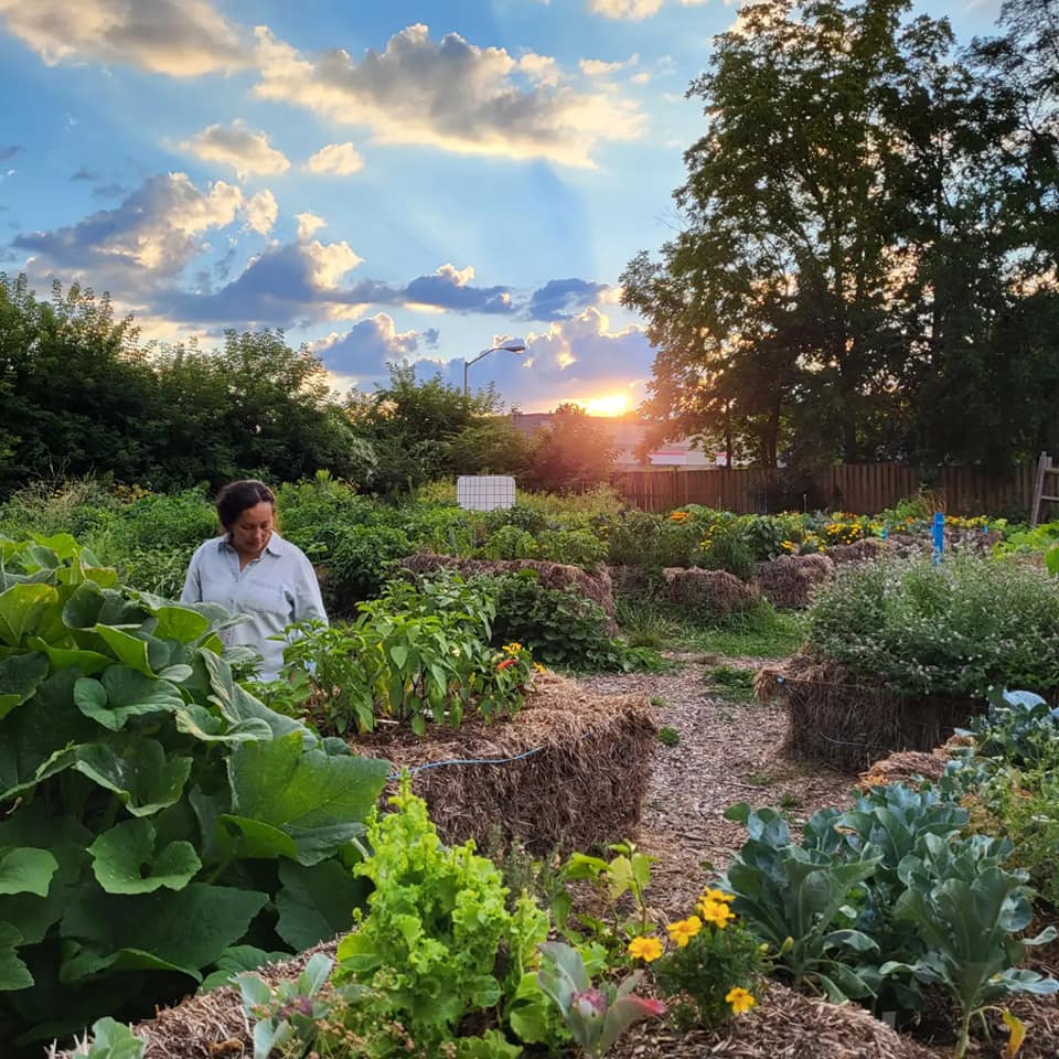 Urban Farm Harvest