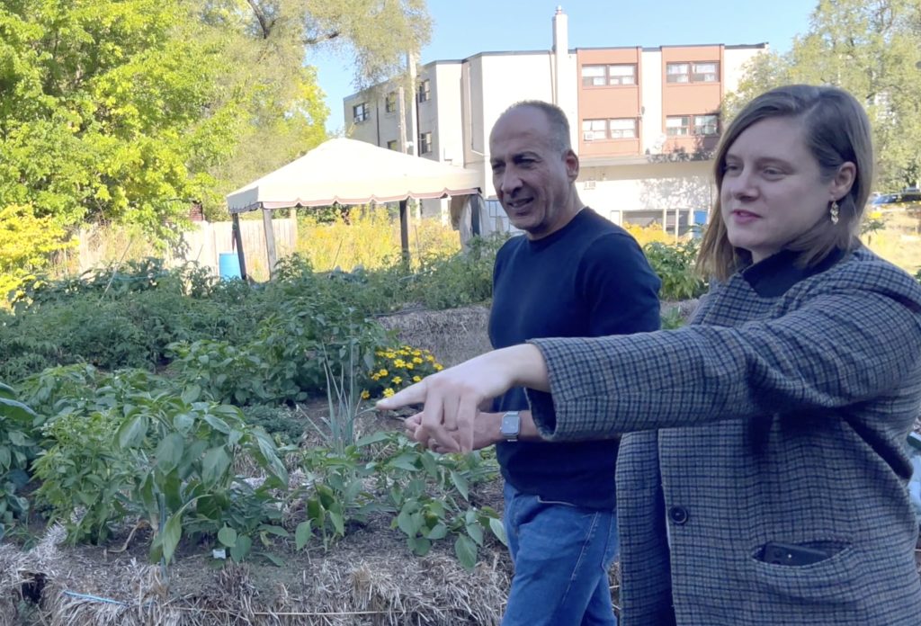 The Molinaro Group and the Urban Farm