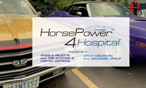 3rd Annual HorsePower 4 Hospital - 2024