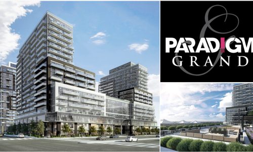 PGRand Blog No Compromise June 2023